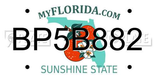 BP5B882 Florida License Plate