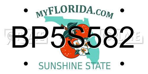 BP5S582 Florida License Plate