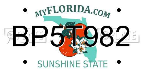 BP5T982 Florida License Plate