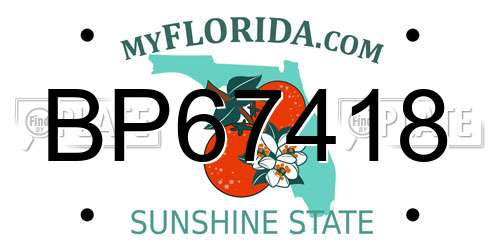 BP67418 Florida License Plate