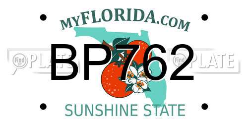 BP762 Florida License Plate