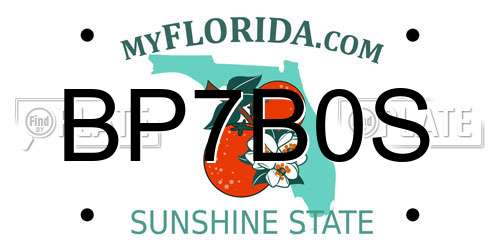 BP7B0S Florida License Plate