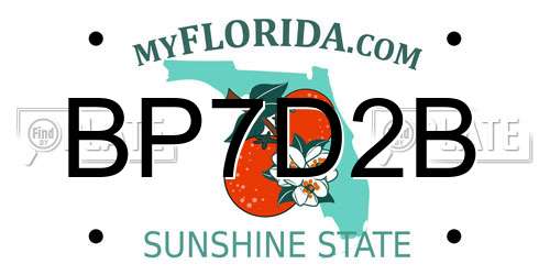 BP7D2B Florida License Plate