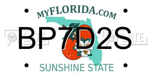BP7D2S Florida License Plate