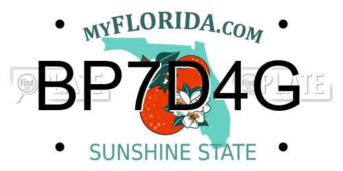 BP7D4G Florida License Plate