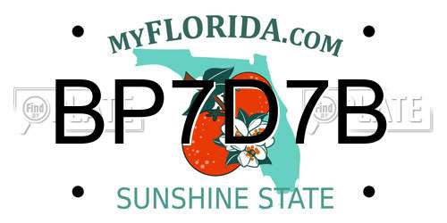 BP7D7B Florida License Plate