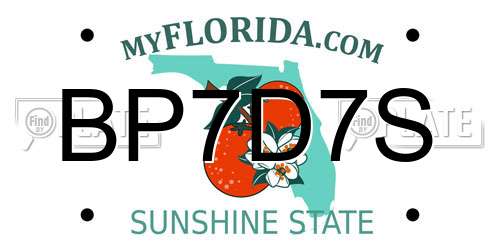 BP7D7S Florida License Plate