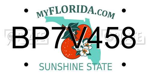 BP7V458 Florida License Plate
