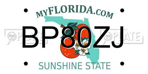 BP80ZJ Florida License Plate