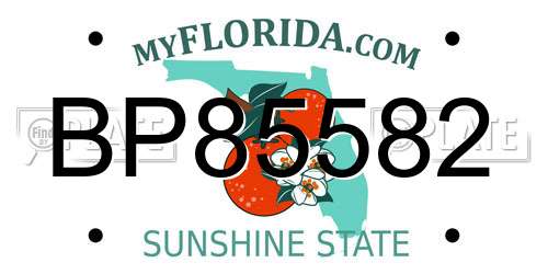 BP85582 Florida License Plate