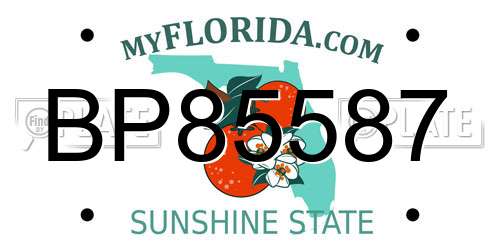 BP85587 Florida License Plate