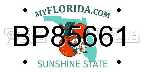 BP85661 Florida License Plate