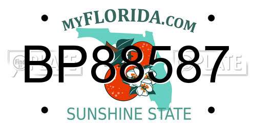 BP88587 Florida License Plate