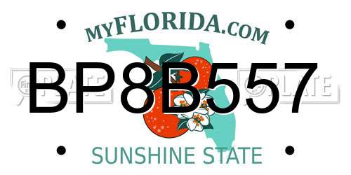 BP8B557 Florida License Plate