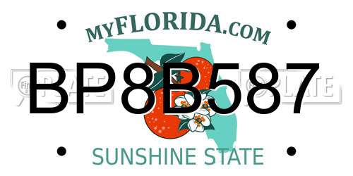BP8B587 Florida License Plate