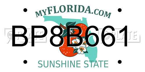 BP8B661 Florida License Plate
