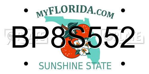 BP8S552 Florida License Plate