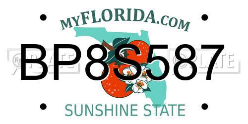 BP8S587 Florida License Plate