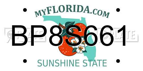 BP8S661 Florida License Plate