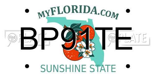 BP91TE Florida License Plate