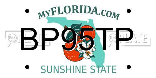 BP95TP Florida License Plate