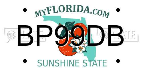 BP99DB Florida License Plate