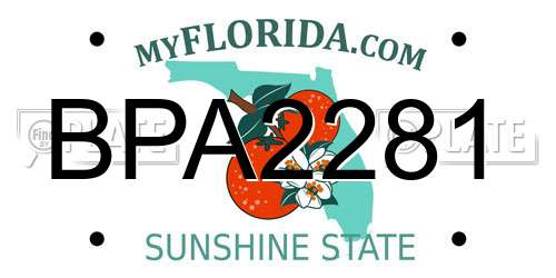 BPA2281 Florida License Plate