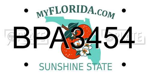 BPA3454 Florida License Plate