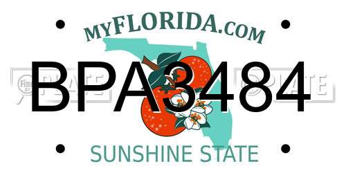 BPA3484 Florida License Plate