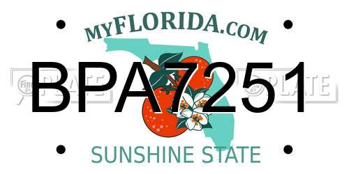 BPA7251 Florida License Plate