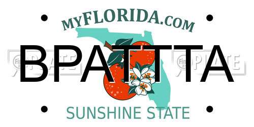 BPATTTA Florida License Plate