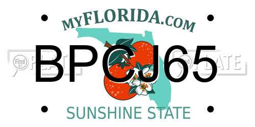 BPCJ65 Florida License Plate
