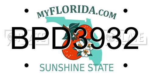 BPD3932 Florida License Plate