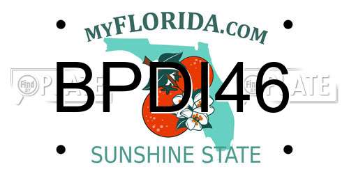 BPDI46 Florida License Plate