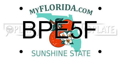 BPE5F Florida License Plate