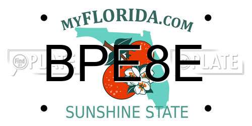 BPE8E Florida License Plate