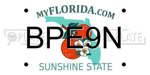 BPE9N Florida License Plate