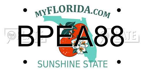 BPEA88 Florida License Plate