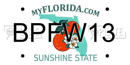 BPFW13 Florida License Plate