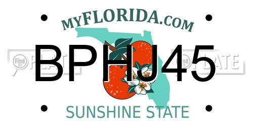 BPHJ45 Florida License Plate