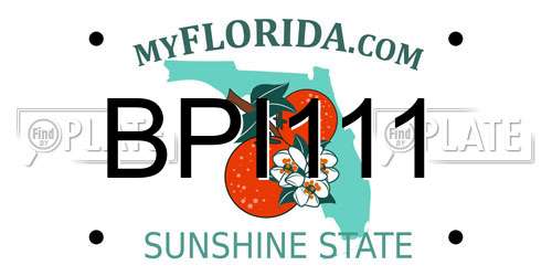 BPI111 Florida License Plate