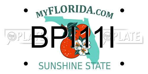 BPI11I Florida License Plate