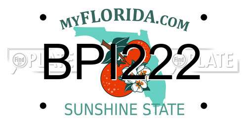 BPI222 Florida License Plate