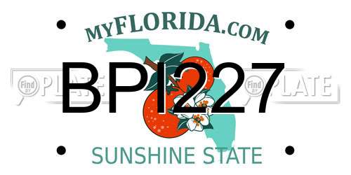 BPI227 Florida License Plate