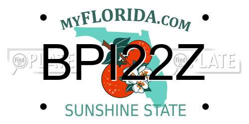 BPI22Z Florida License Plate