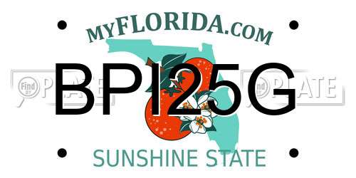 BPI25G Florida License Plate
