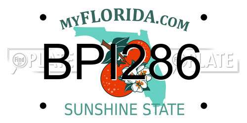 BPI286 Florida License Plate