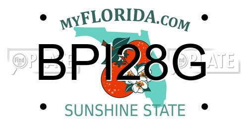 BPI28G Florida License Plate
