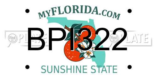 BPI322 Florida License Plate