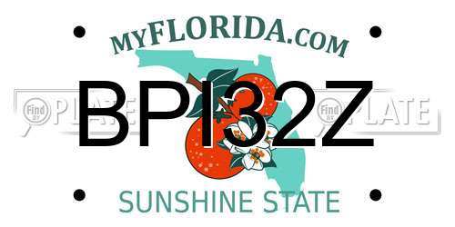 BPI32Z Florida License Plate
